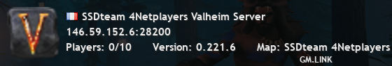 SSDteam 4Netplayers Valheim Server