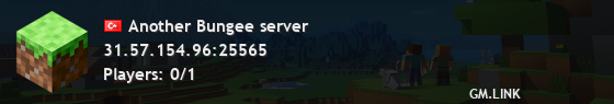 Another Bungee server