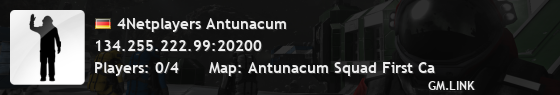 4Netplayers Antunacum