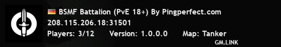 BSMF Battalion (PvE 18+) By Pingperfect.com