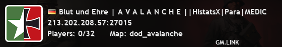 Blut und Ehre | A V A L A N C H E ||HlstatsX|Para|MEDIC
