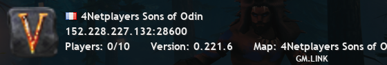 4Netplayers Sons of Odin