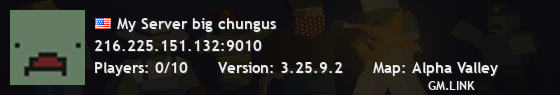 My Server big chungus