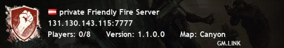 private Friendly Fire Server