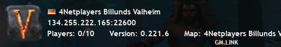4Netplayers Billunds Valheim