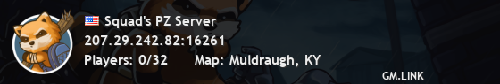 Squad's PZ Server