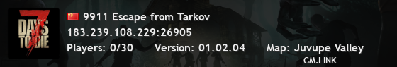 9911 Escape from Tarkov