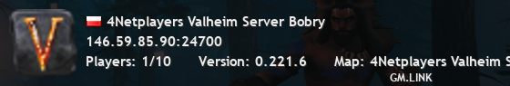 4Netplayers Valheim Server Bobry