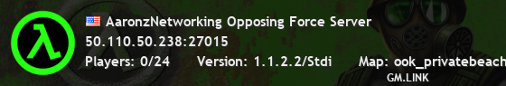 AaronzNetworking Opposing Force Server
