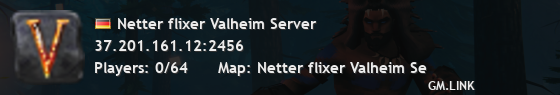 Netter flixer Valheim Server