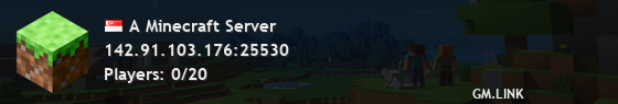 A Minecraft Server