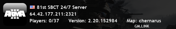 81st SBCT 24/7 Server