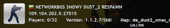 NETWORKBGS SNOWY DUST_2 RESPAWN