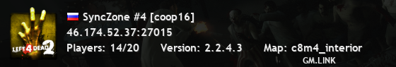 SyncZone #4 [coop16]
