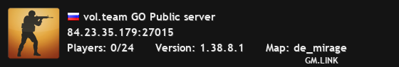 vol.team GO Public server