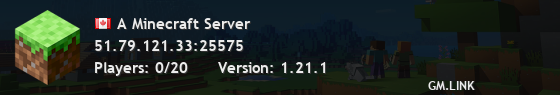 A Minecraft Server