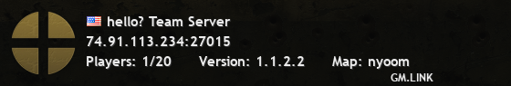 hello? Team Server