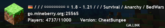 / / / ＭＩＮＥＢＥＲＲＹ ⋆ 1.8 - 1.21 / / / Survival / Anarchy / BedWars / SkyWars / KitPvP
