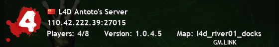 L4D Antoto's Server