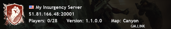 My Insurgency Server