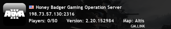 Honey Badger Gaming Operation Server