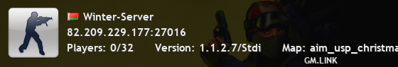 Winter-Server