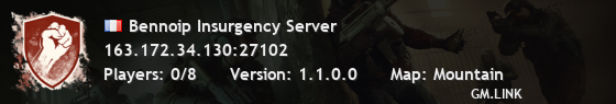Bennoip Insurgency Server