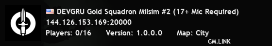 DEVGRU Gold Squadron Milsim #2 (17+ Mic Required)