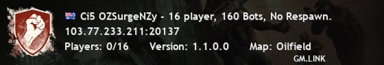 Ci5 OZSurgeNZy - 16 player, 160 Bots, No Respawn.
