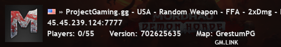 » ProjectGaming.gg - USA - Random Weapon - FFA - 2xDmg - New T