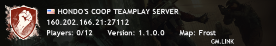 HONDO'S COOP TEAMPLAY SERVER